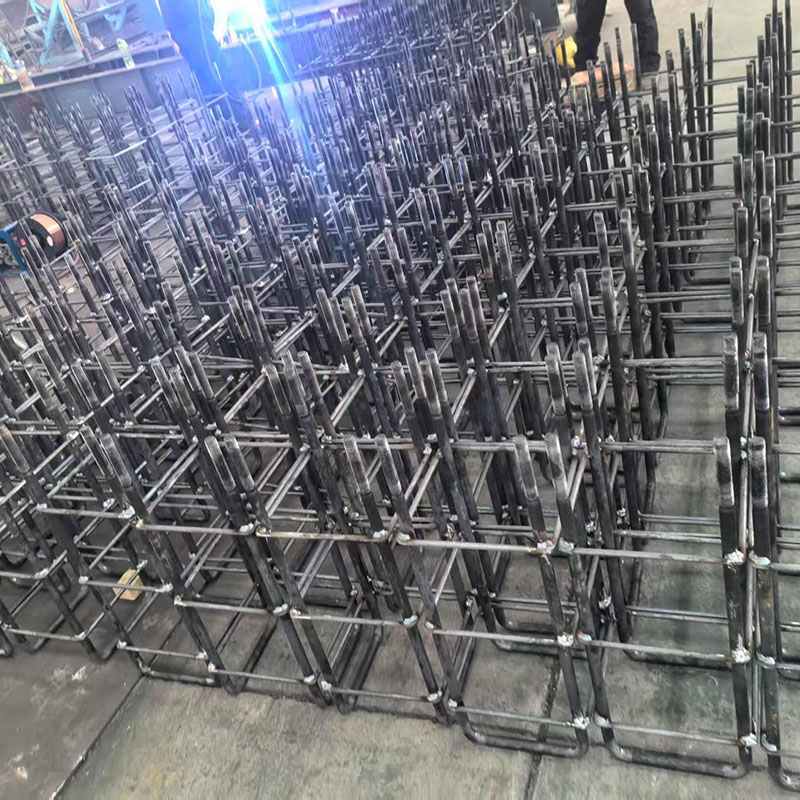 Serena Type ferro structuram Books